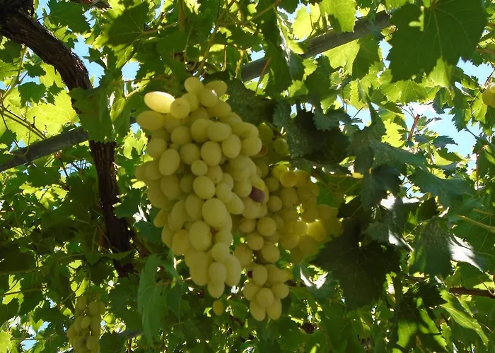 Giota & Antonia 펜션 *